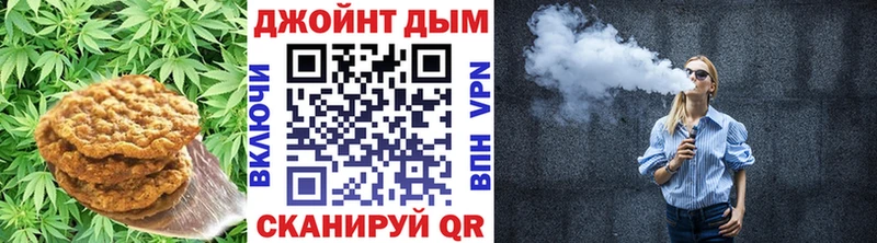 MEGA ССЫЛКА  Котельнич  Canna-Cookies конопля 